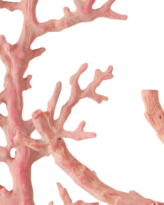 Red Coral Branches Set of 3, alternate view 2