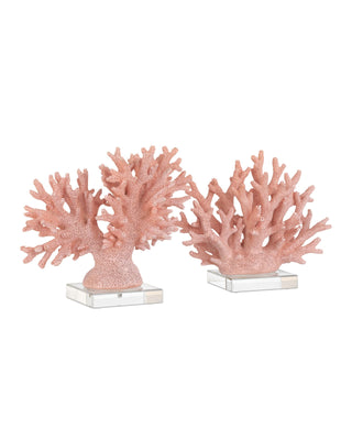 Fire Large Coral, alternate view 5