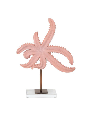 Starfish Set of 2, alternate view 5