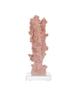 Fire Large Coral, alternate view 4