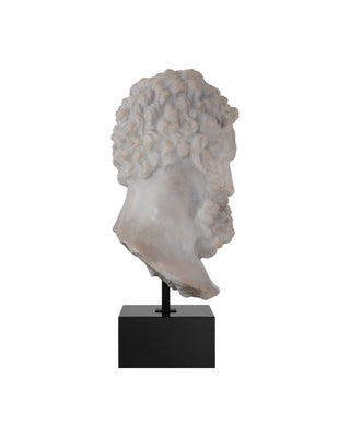 Hercules Head on Metal Stand, alternate view 5