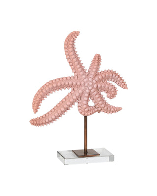 Starfish Set of 2, alternate view 3