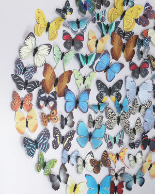 Chroma Wall Art, alternate view 2