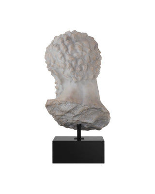 Hercules Head on Metal Stand, alternate view 4