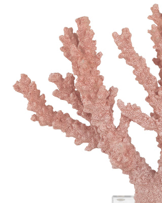 Fire Large Coral, alternate view 2