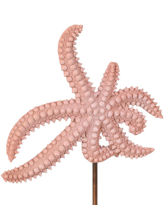 Starfish Set of 2, alternate view 2