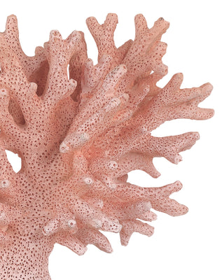 Fire Coral Set of 2, alternate view 2