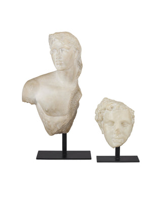 Young Royal Greek Torso, alternate view 5