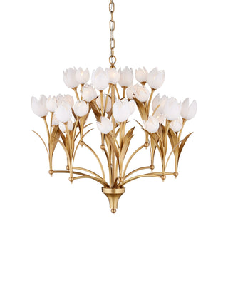 Glazen Tulpen Chandelier in polished antique brass and white